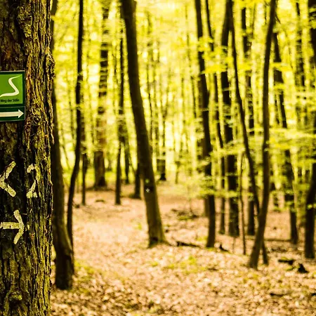 Klosterkrug 3* Marienmünster